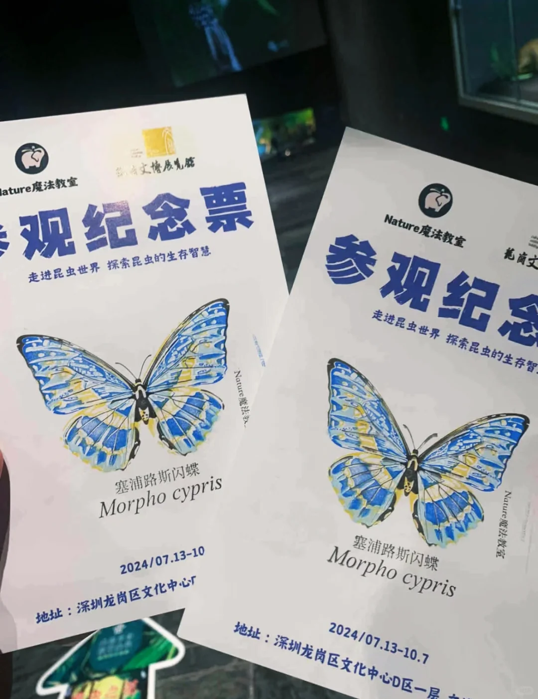 深圳蝴蝶展|是infp喜欢的蝴蝶?世界(免费)