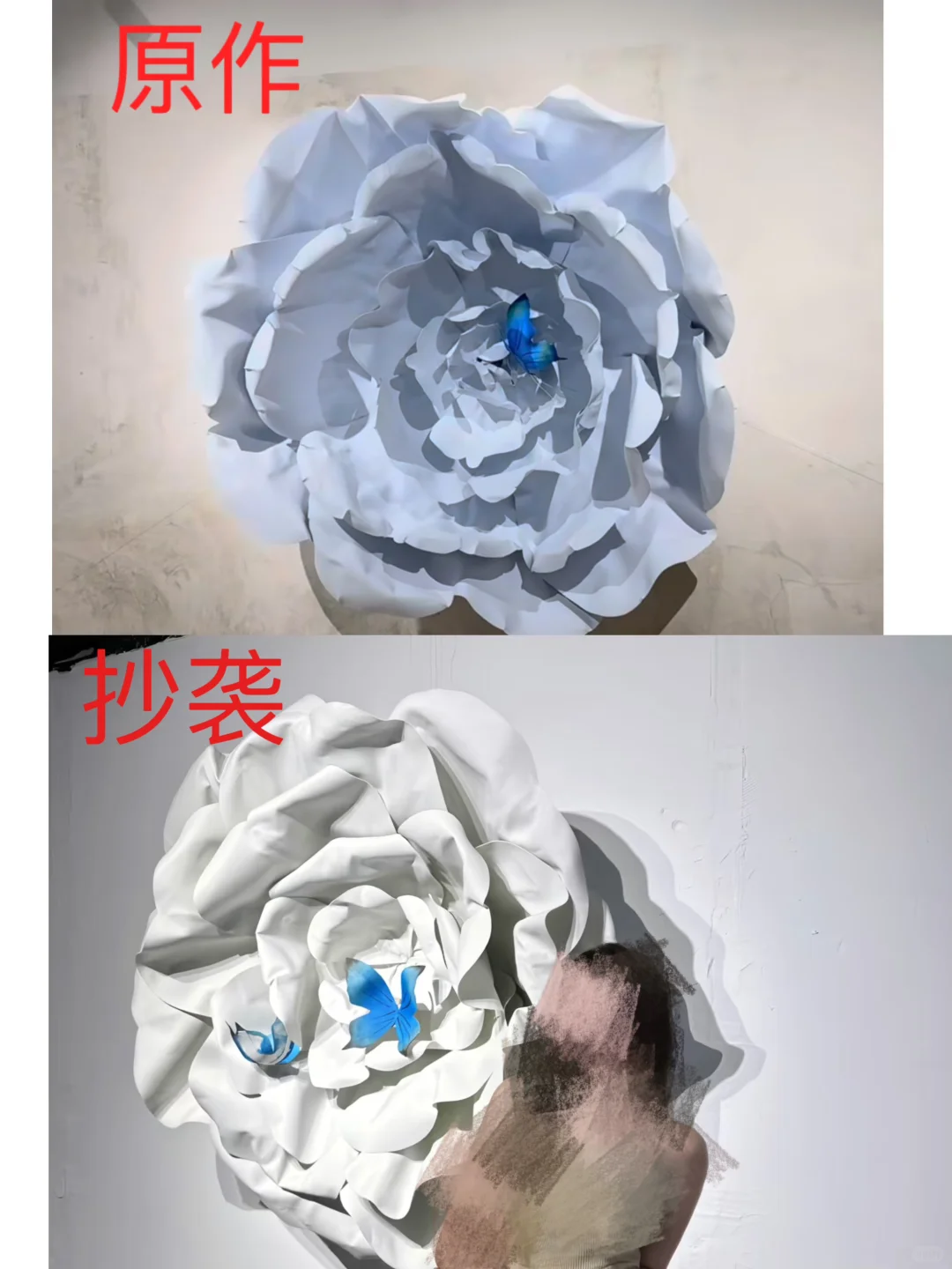 我们的展览又被抄袭了！沈阳蝴蝶展抄袭我