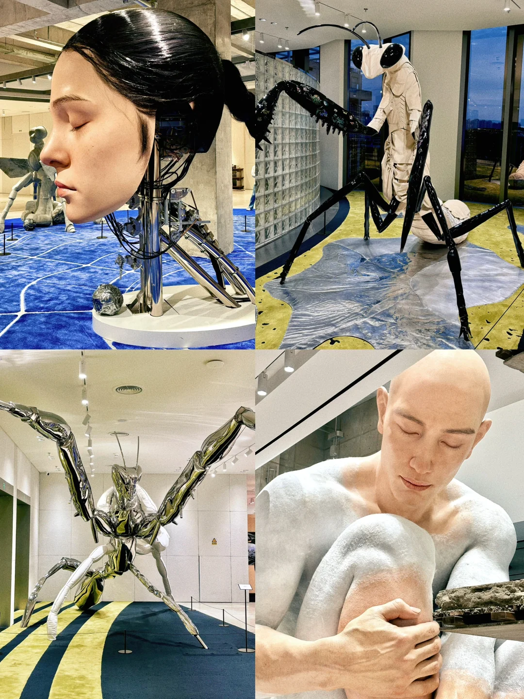 ?深圳巨人展震撼超乎想象?