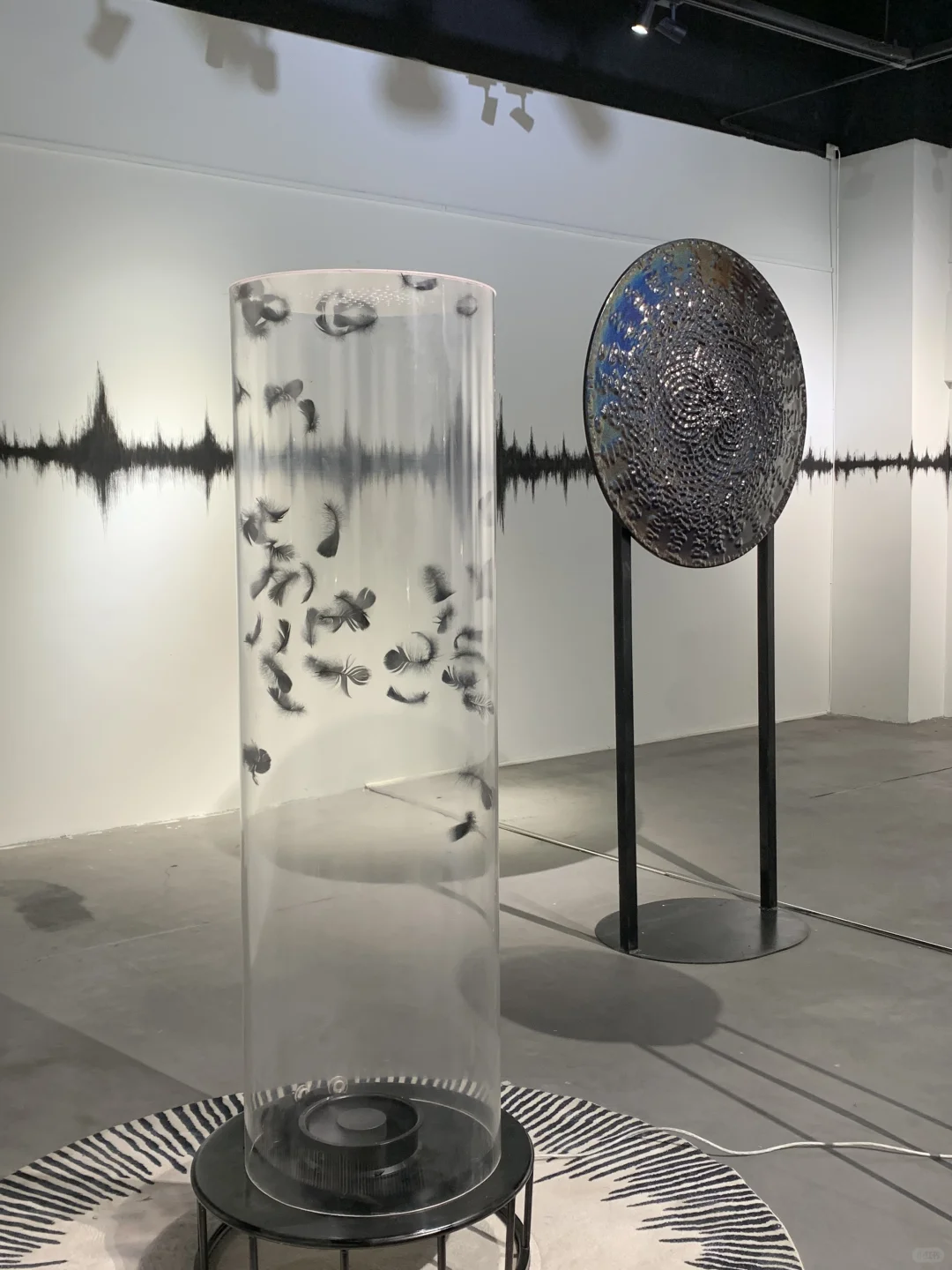 玩法超多沈阳新展11.7-12.7不用预约直接进