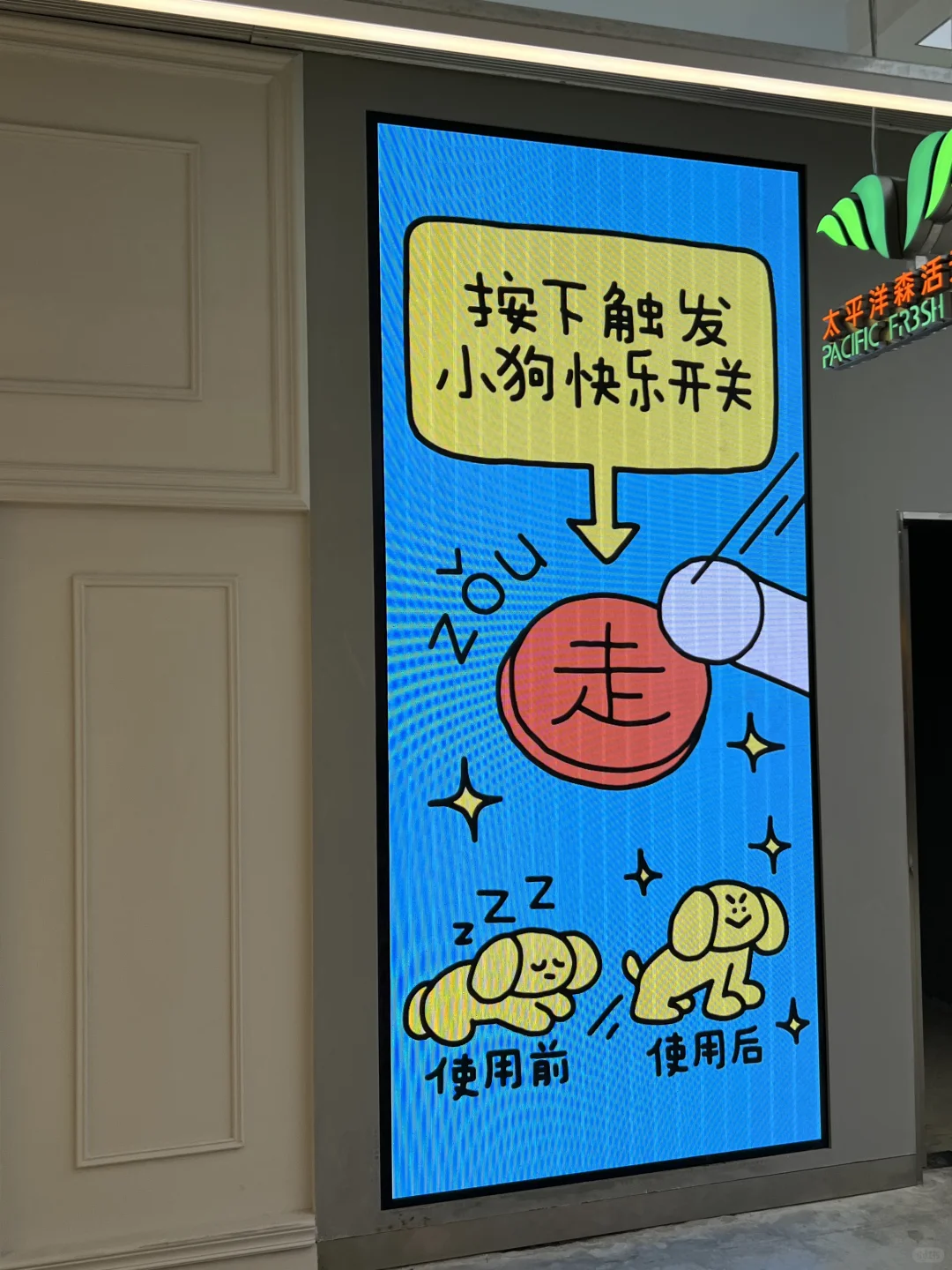 上海超可爱小狗展?丨看完真的不想工作了！