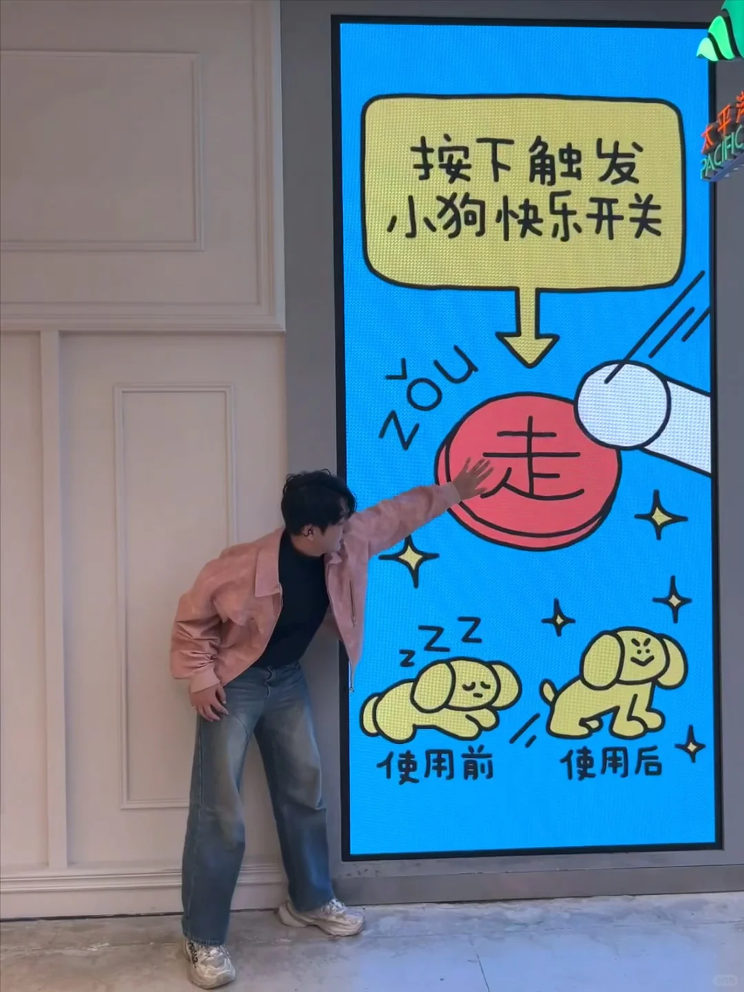 上海超可爱小狗展?丨看完真的不想工作了！