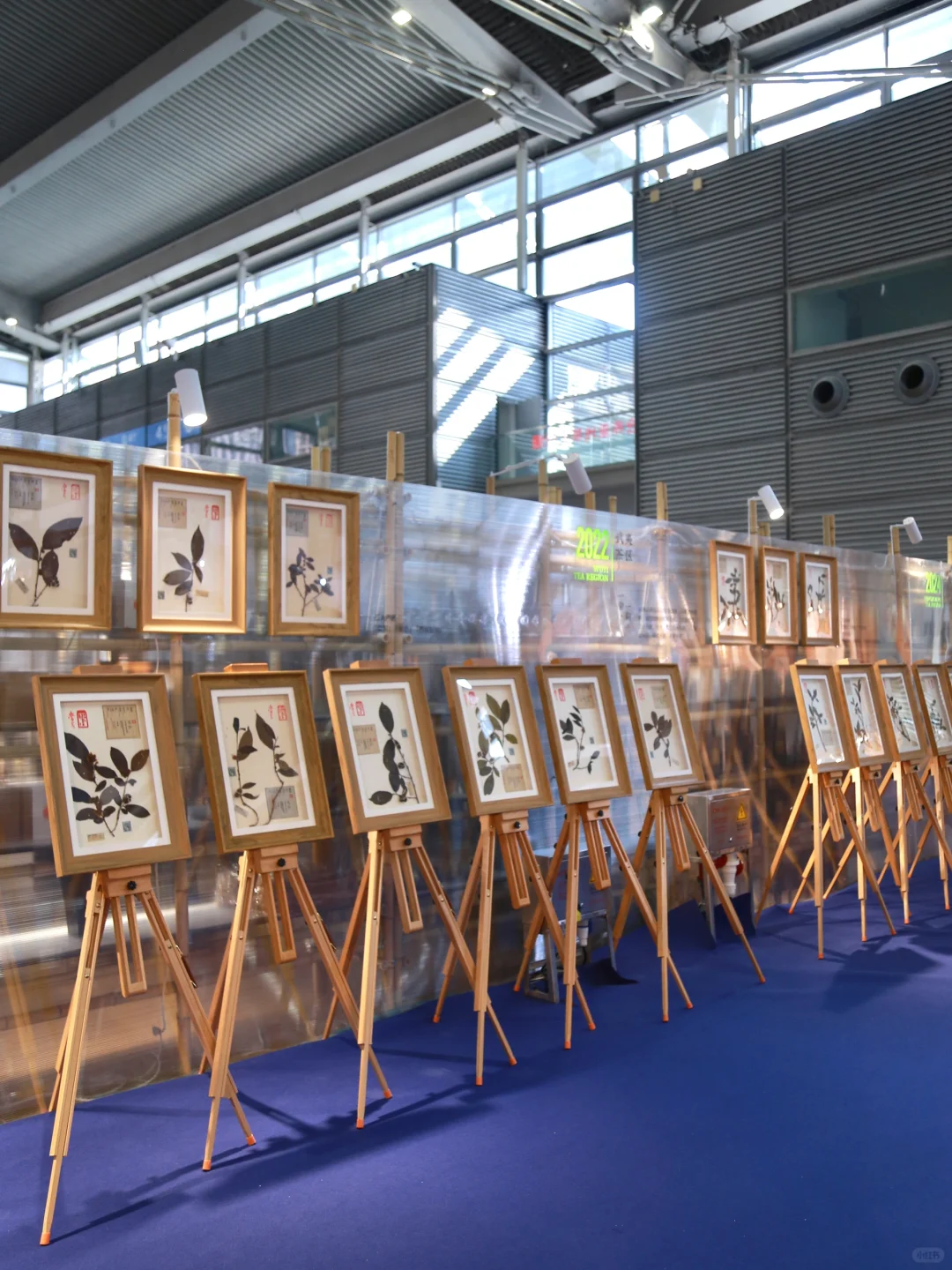 深圳看展｜感受东方美学与现代科技的碰撞