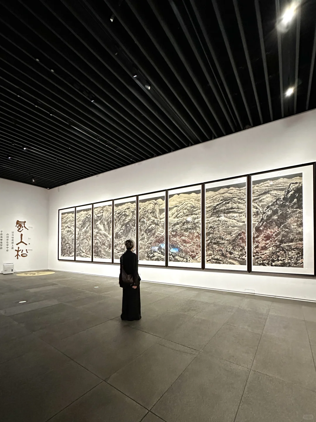 深圳免费新展！几十亿的画作先帮你们看了?