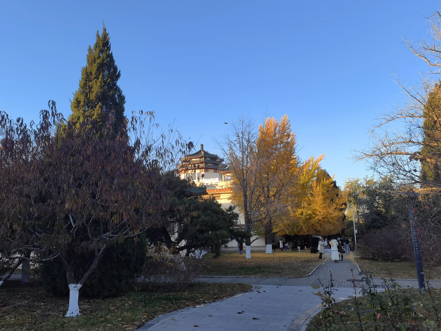 农业展览馆里有惊喜‼️