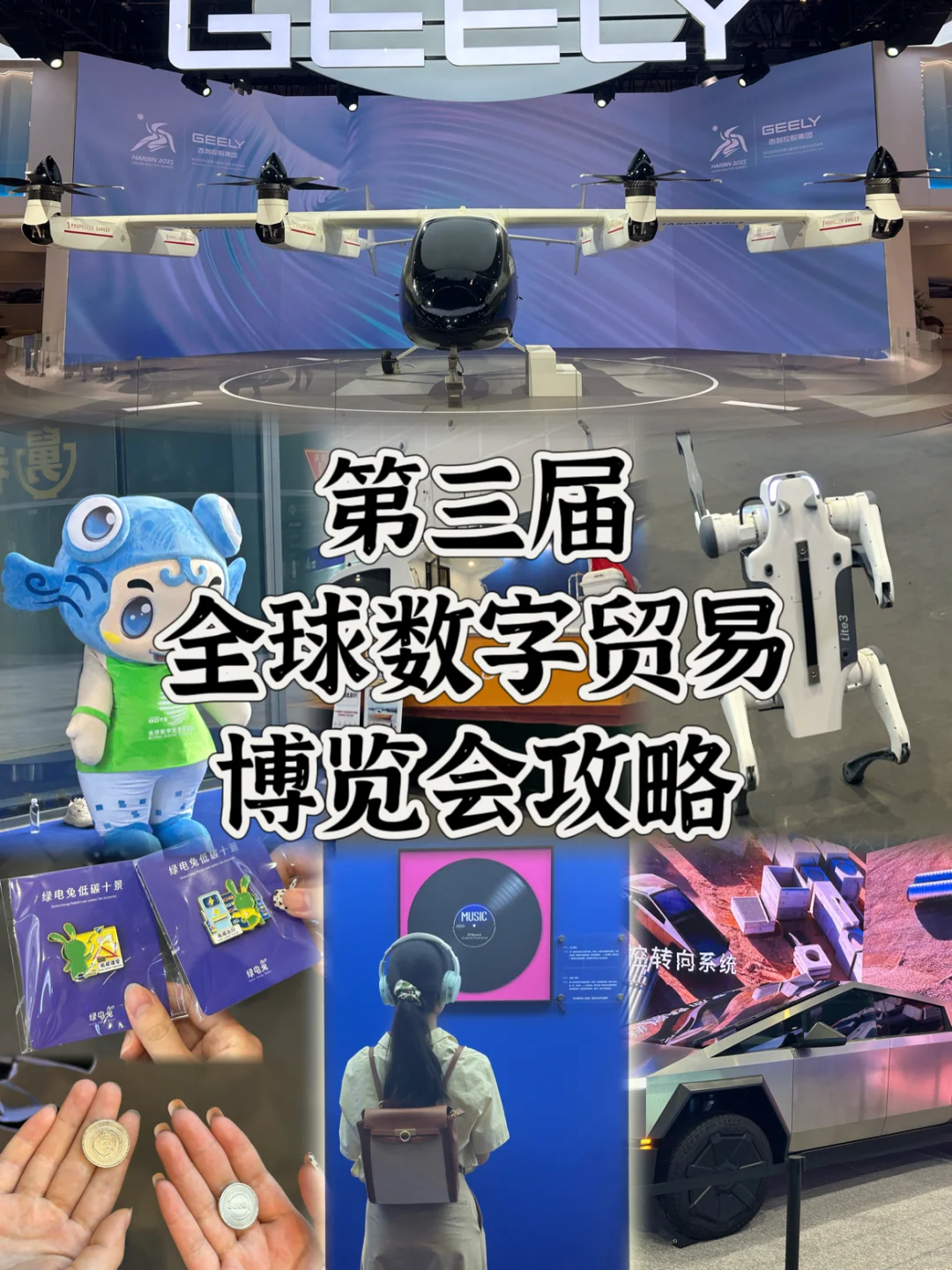 第三届全球数字贸易博览会攻略?