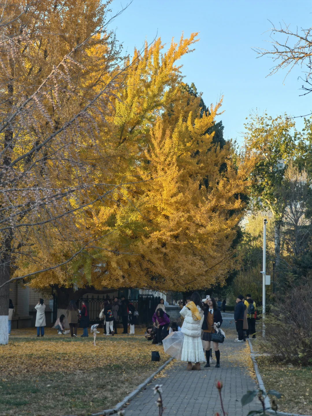 农业展览馆里有惊喜‼️