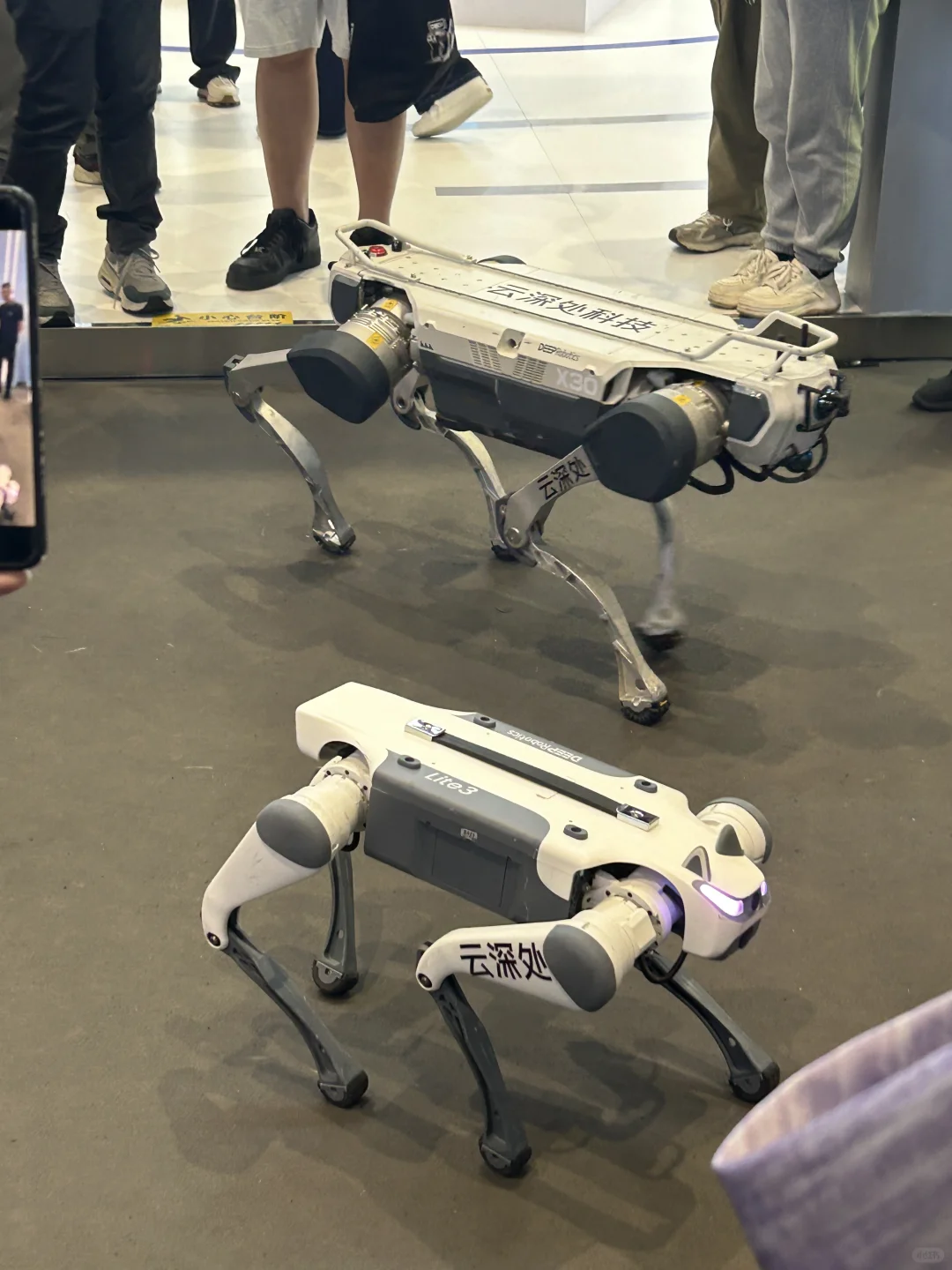 第三届全球数字贸易博览会攻略?