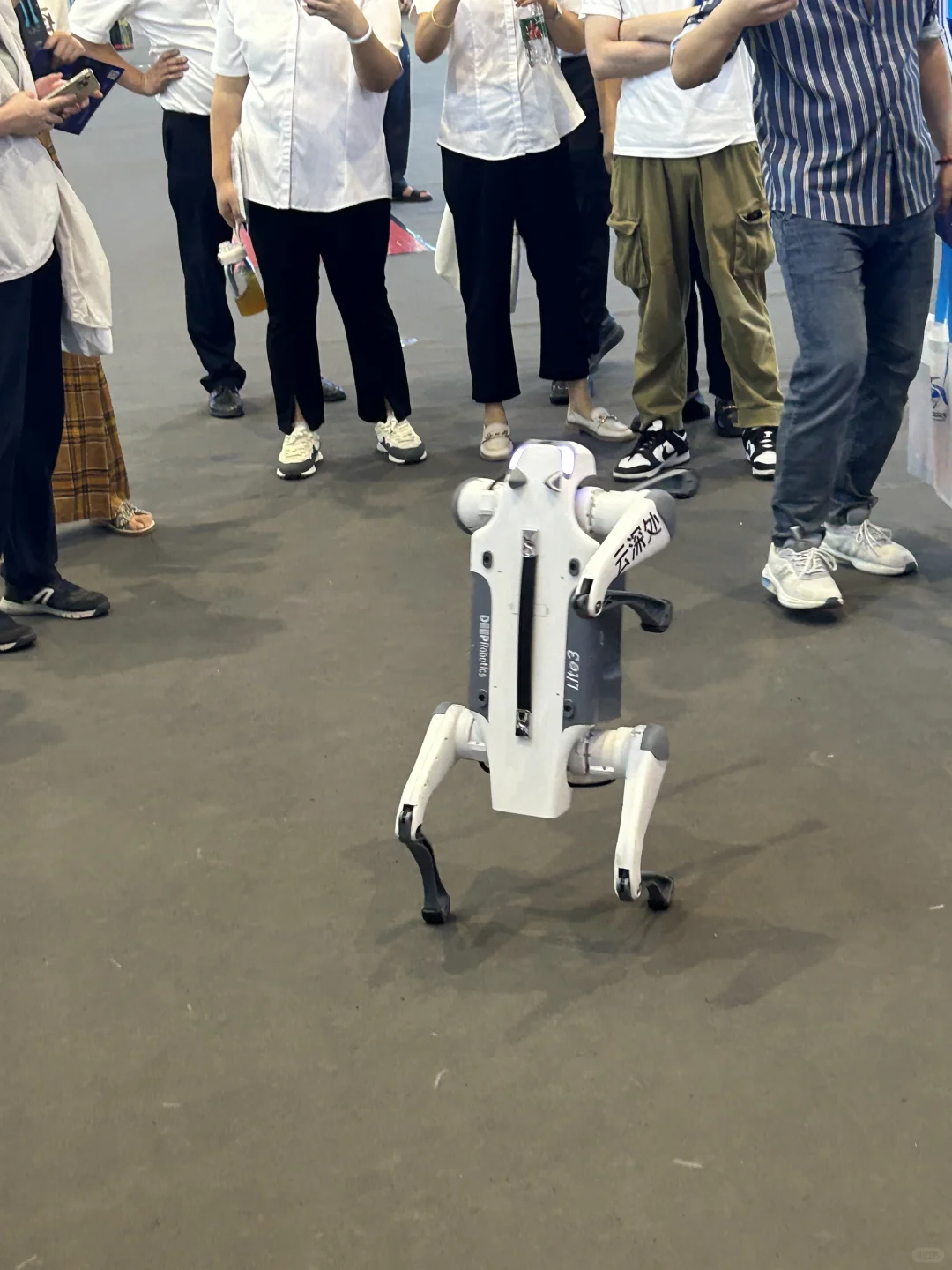 第三届全球数字贸易博览会攻略?