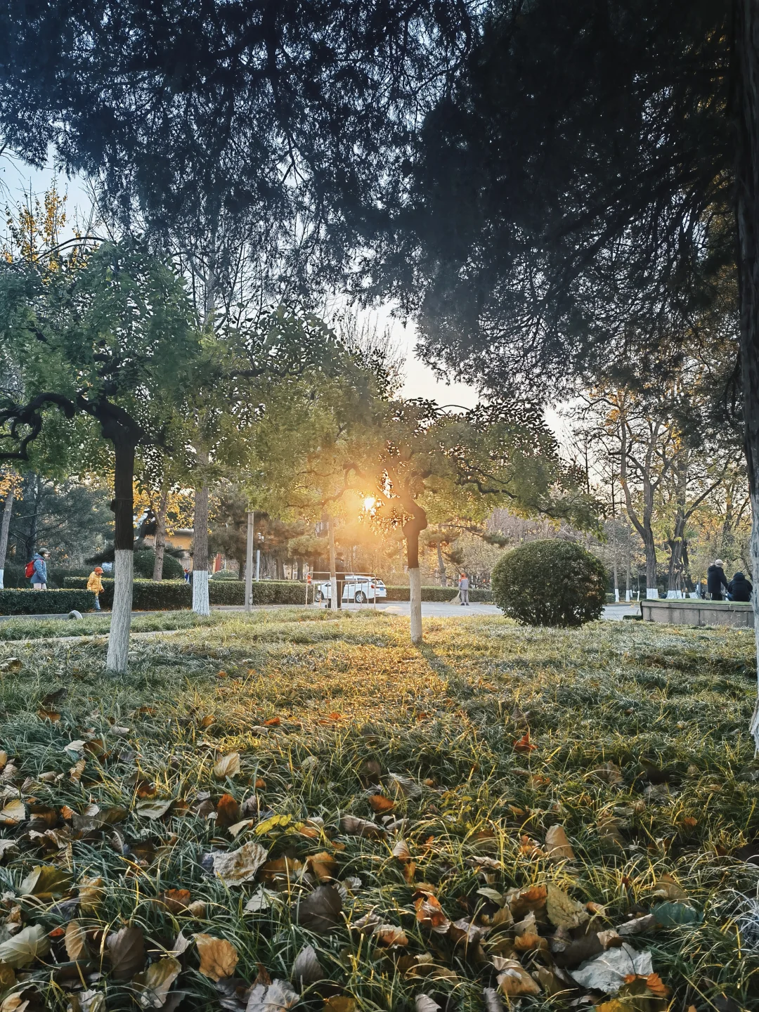 农业展览馆里有惊喜‼️