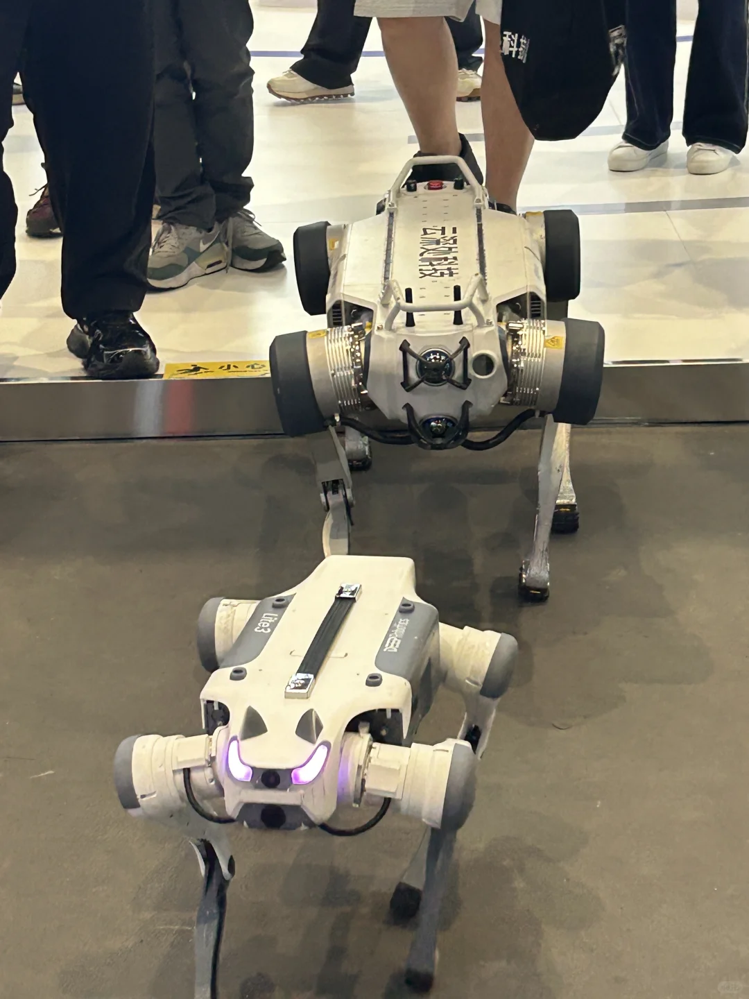 第三届全球数字贸易博览会攻略?