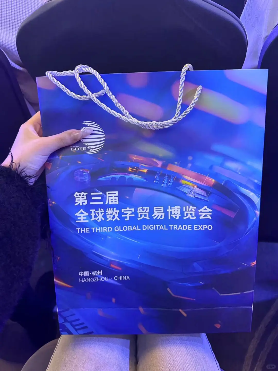 2024全球数字贸易博览会来啦！