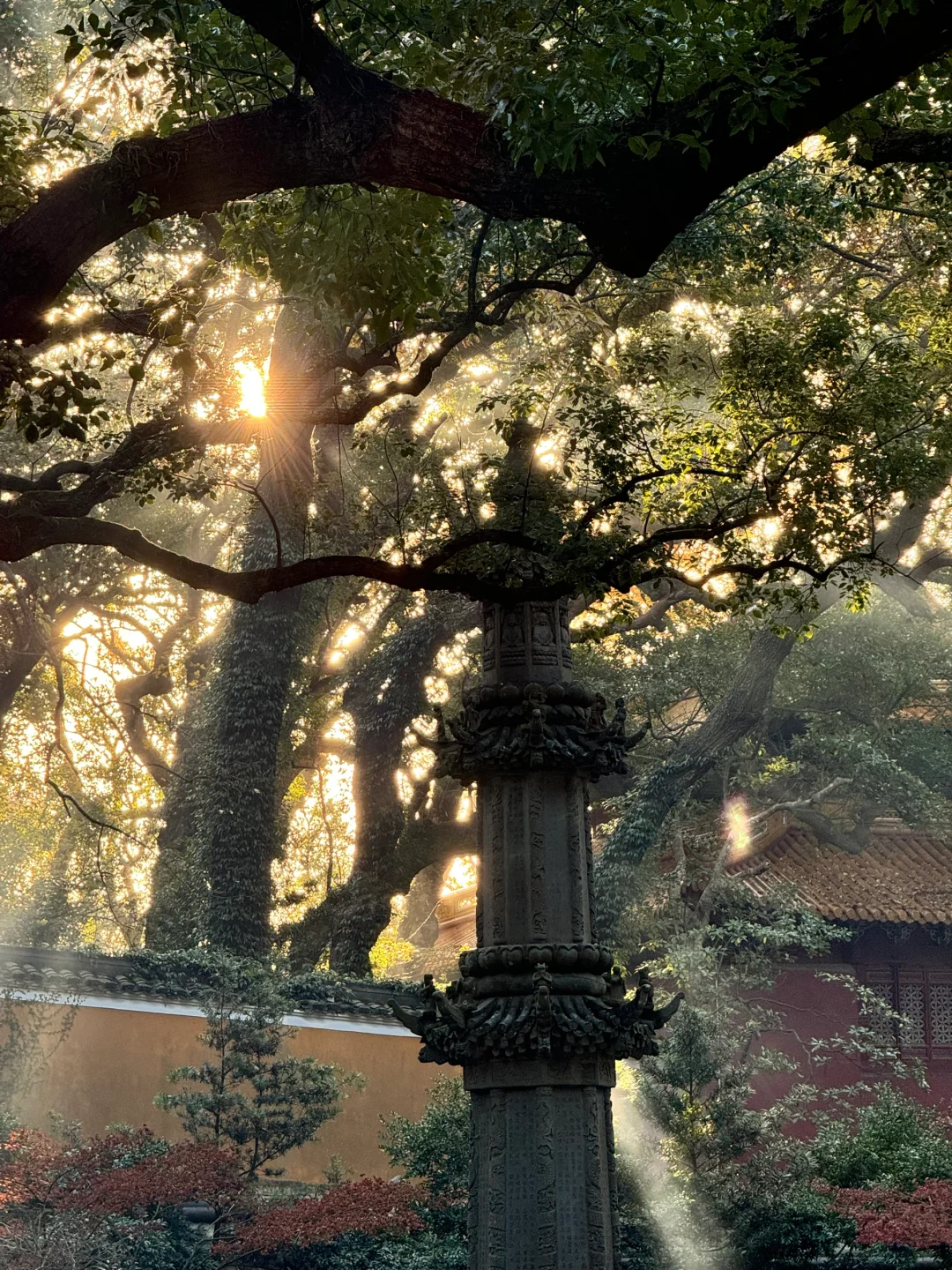 普陀山跨年 越来越好