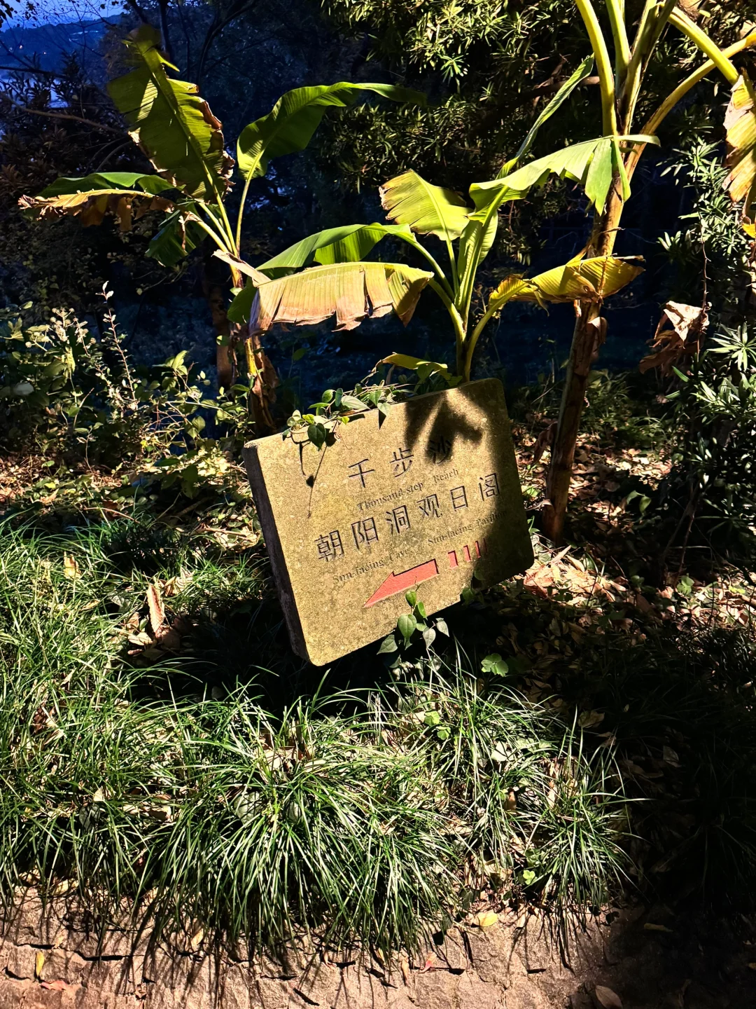 普陀山跨年 越来越好