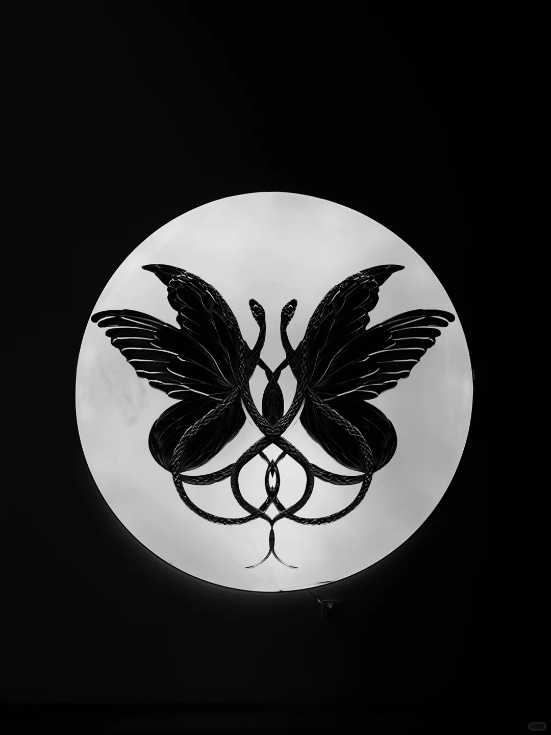 成都新展丨巨新！巨型白蛇超好拍！