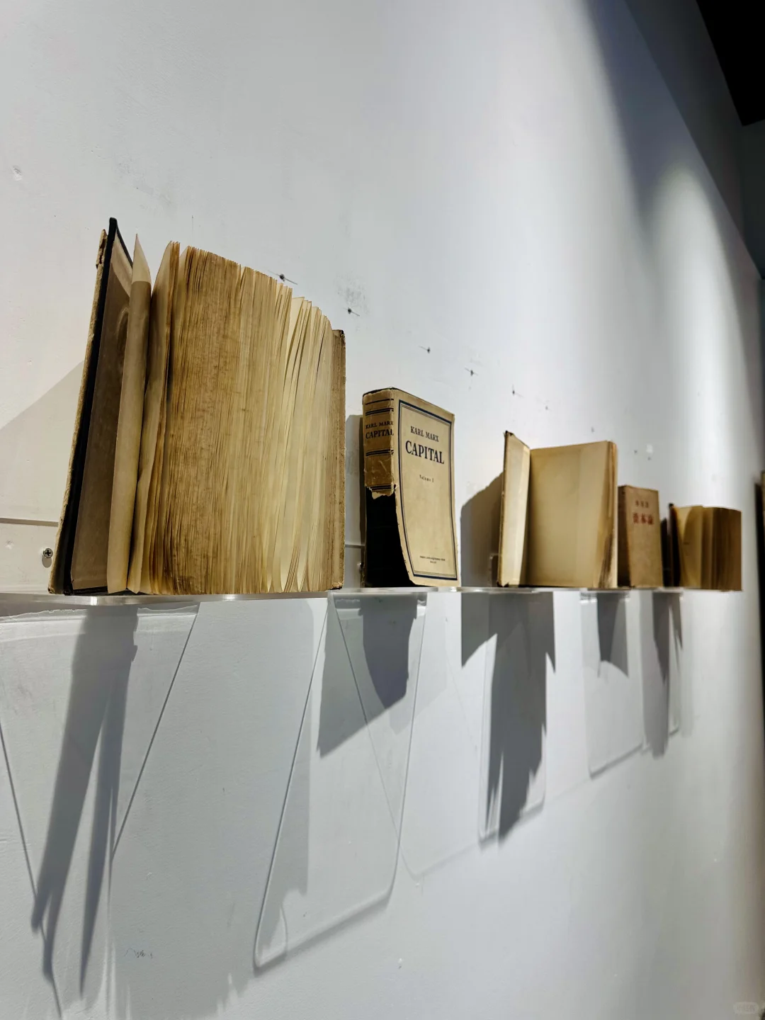 天津免费新展|把2025年平铺开,被硬控一整年