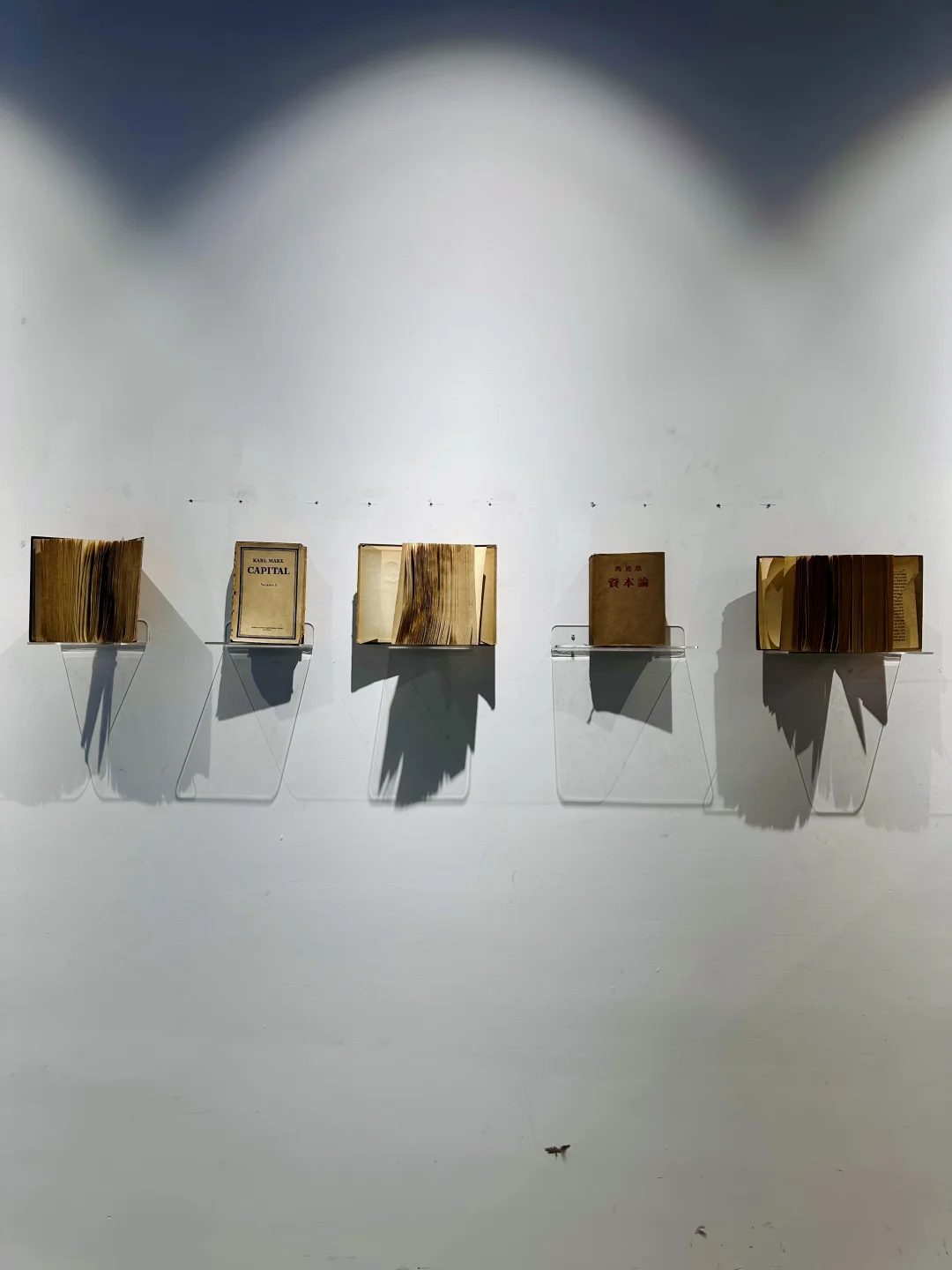 天津免费新展|把2025年平铺开,被硬控一整年