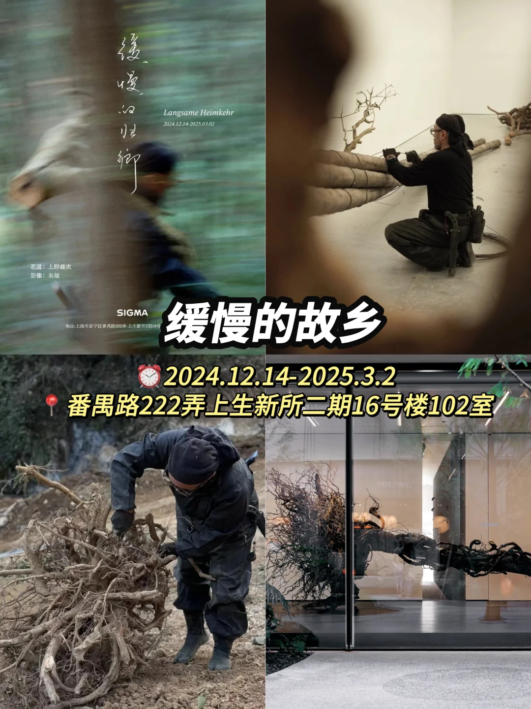 1月2月上海20大宝藏展览?附攻略建议收藏