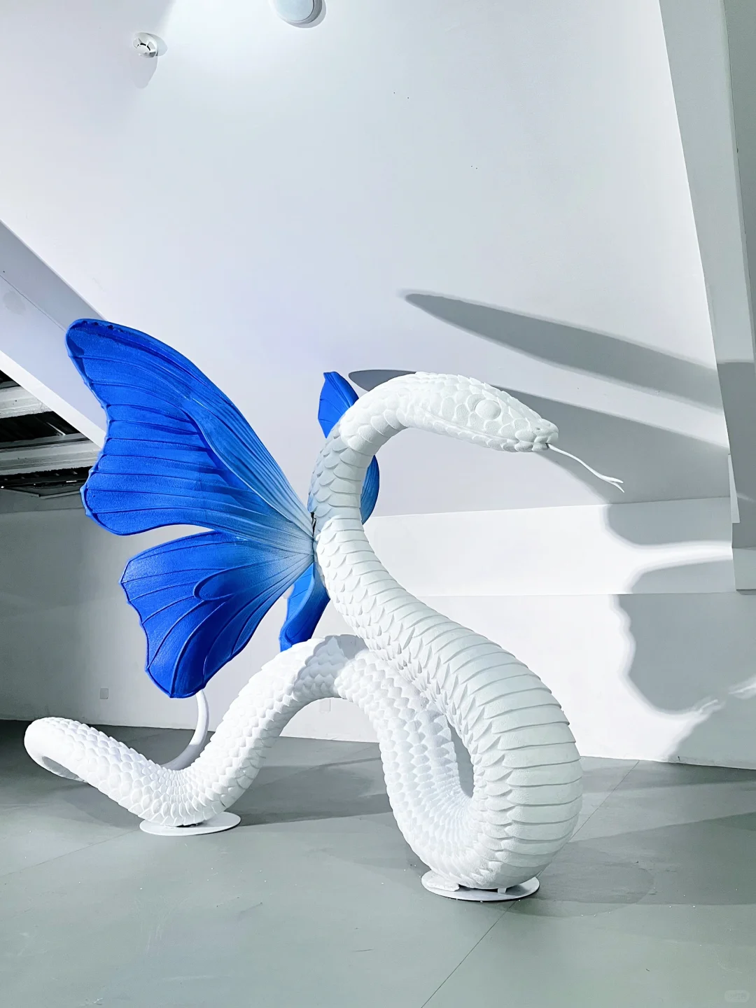 成都新展丨巨新！巨型白蛇超好拍！