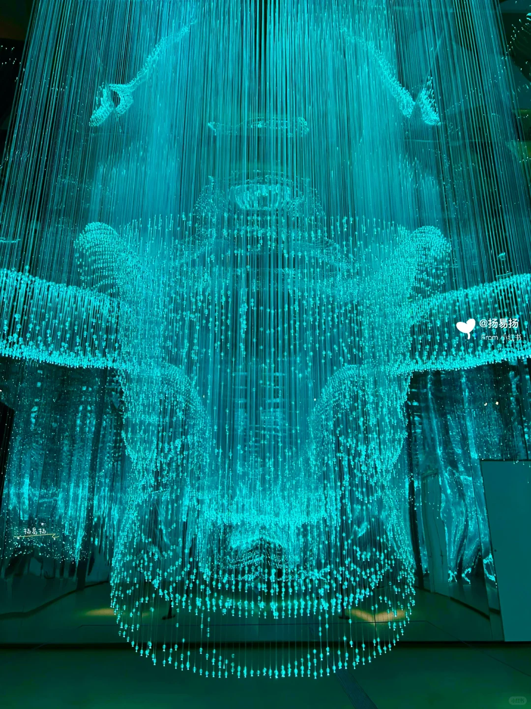 北京新展|震撼大展来袭‼️文明的源起