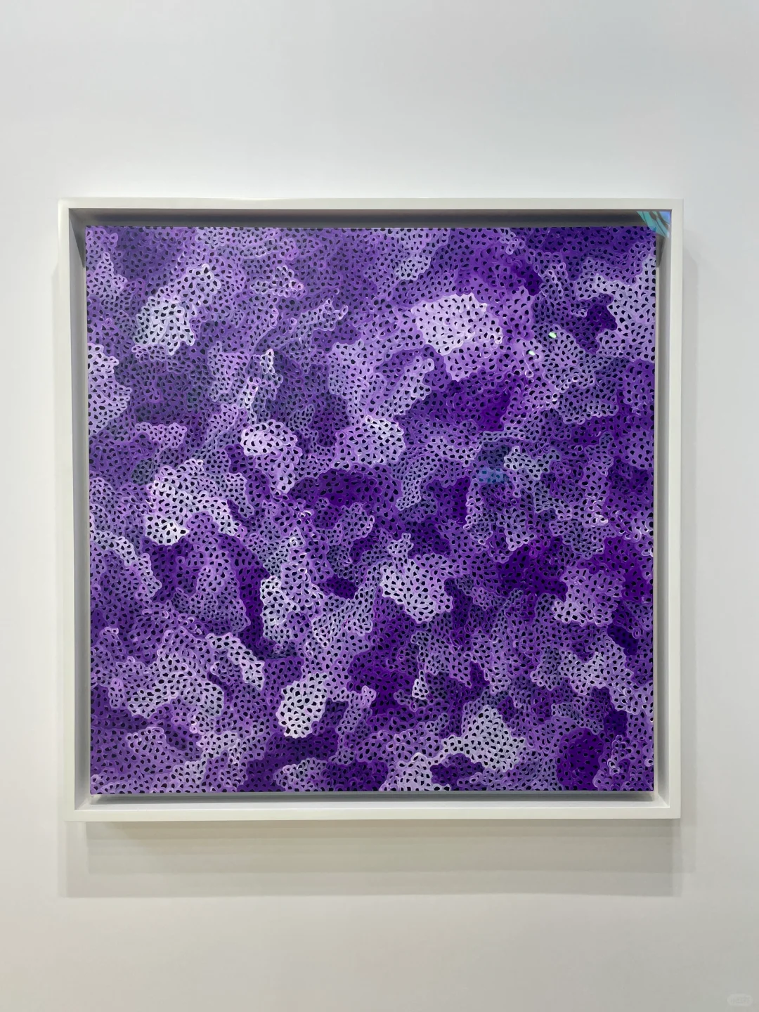 上海西岸艺术博览会值不值得逛？