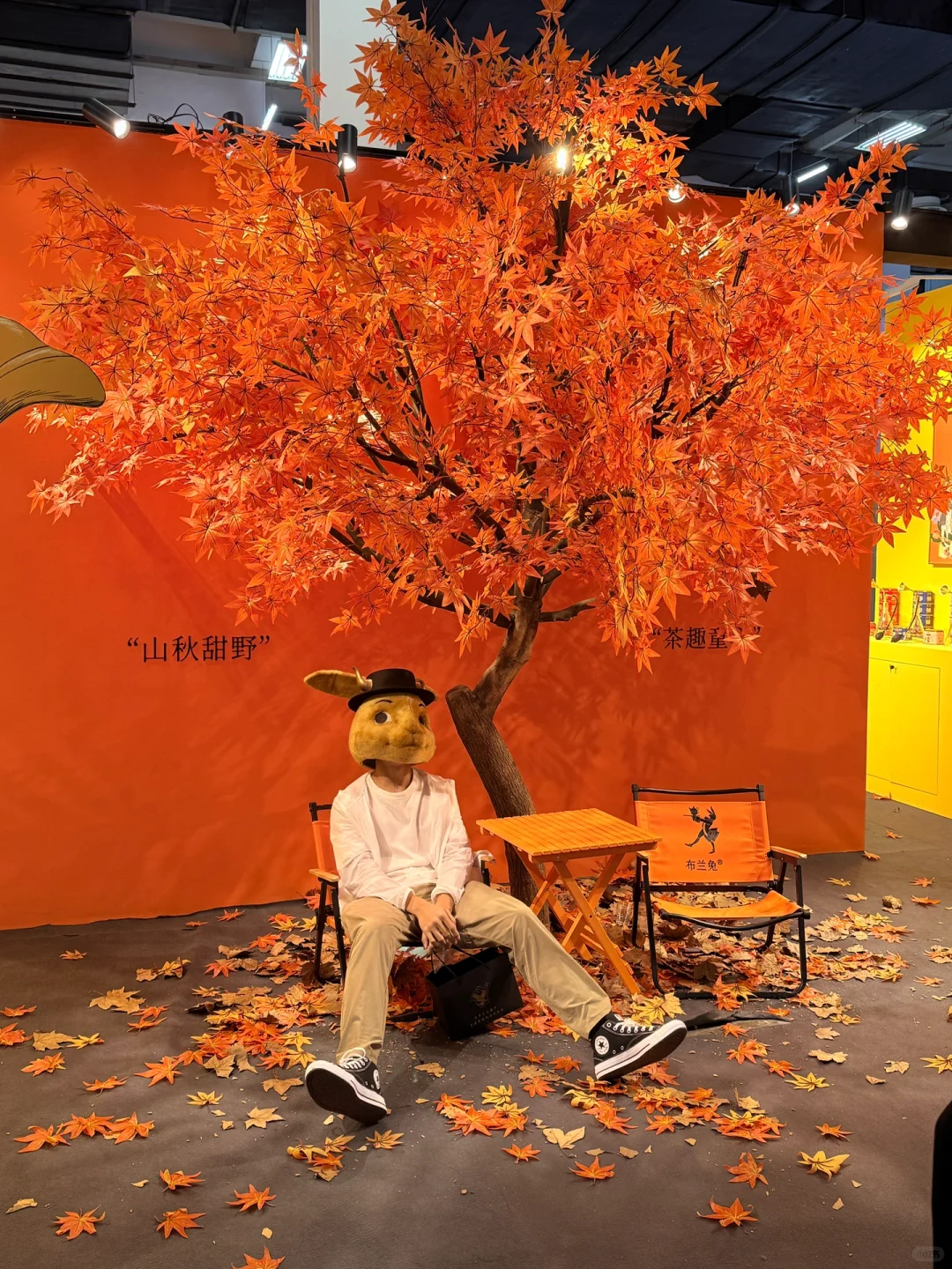 我宣布‼️这是今年杭州最好逛的展?