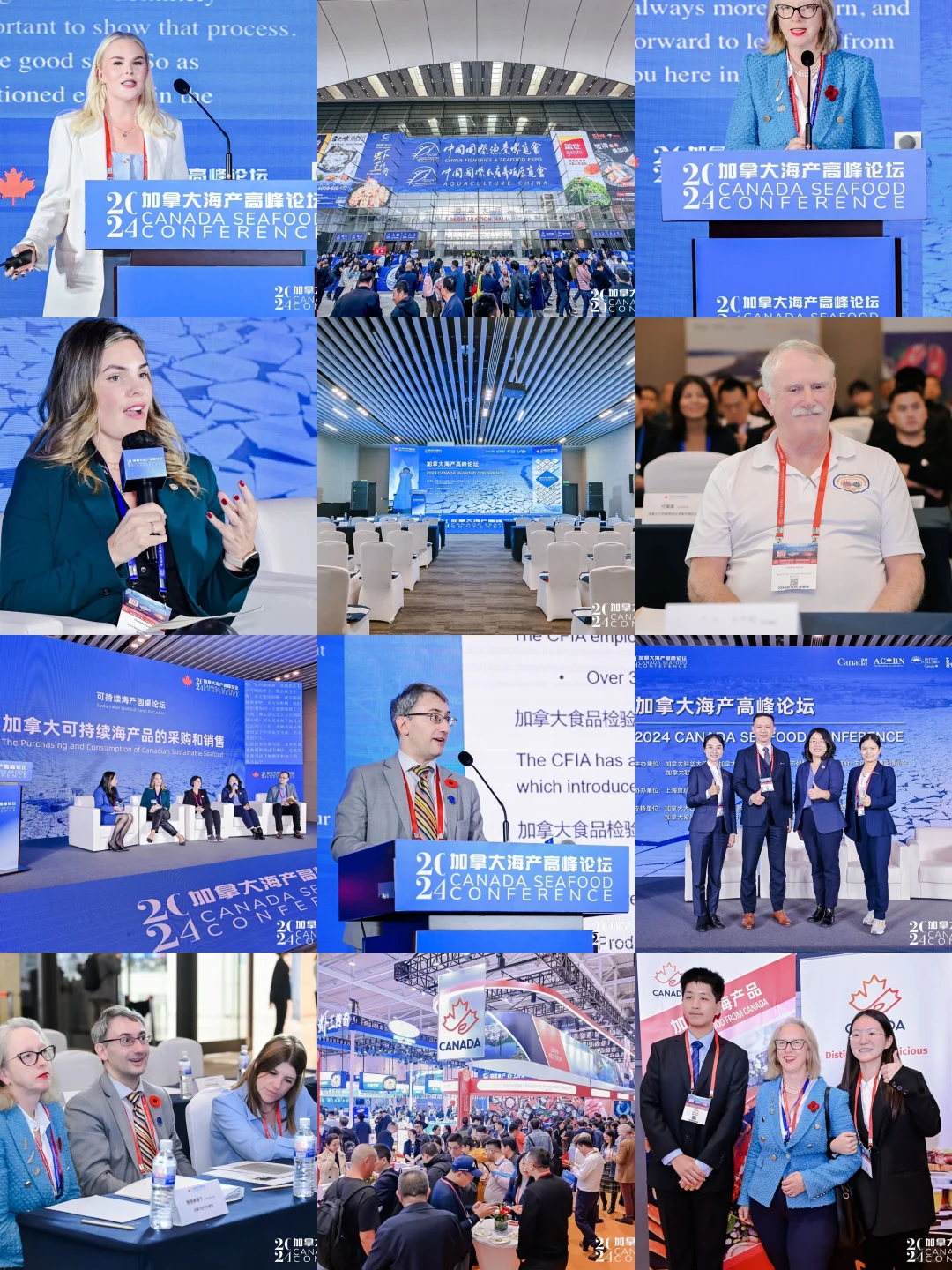 国际会议初体验～