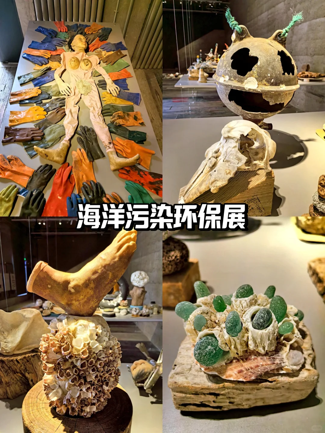 活动策划｜与地球对话｜环保主题展