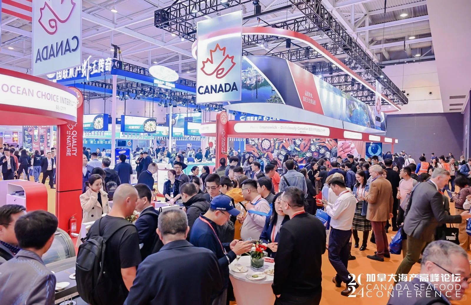 国际会议初体验～