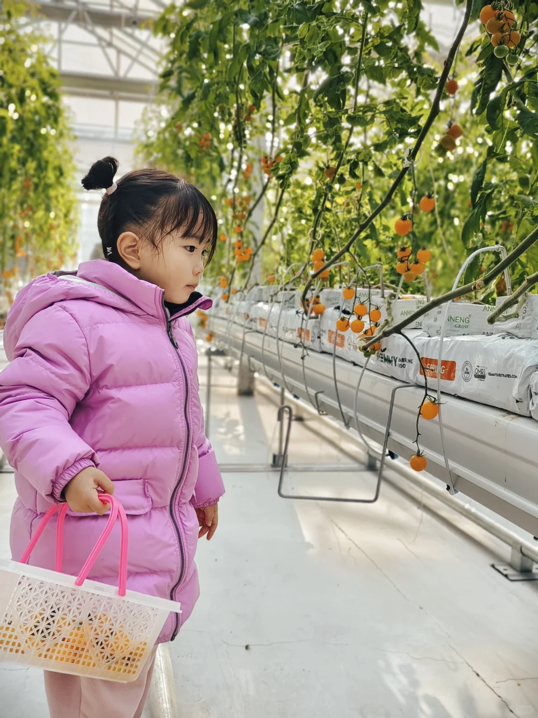 15块钱让娃玩嗨！！值得N刷的昌平遛娃宝地