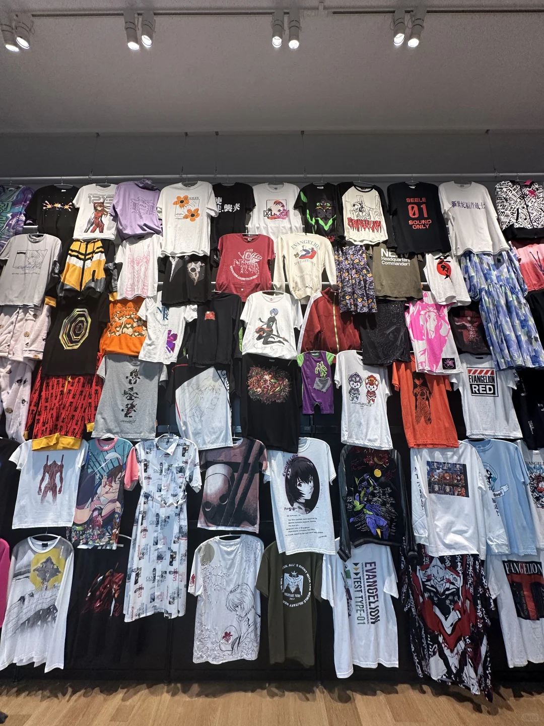 等我老了也要继续喜欢EVA……