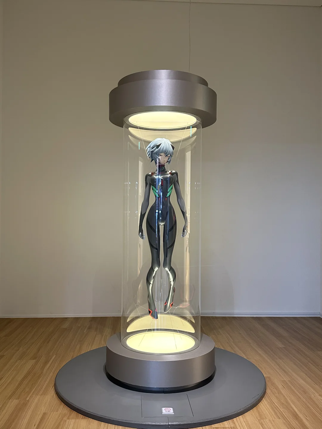 等我老了也要继续喜欢EVA……