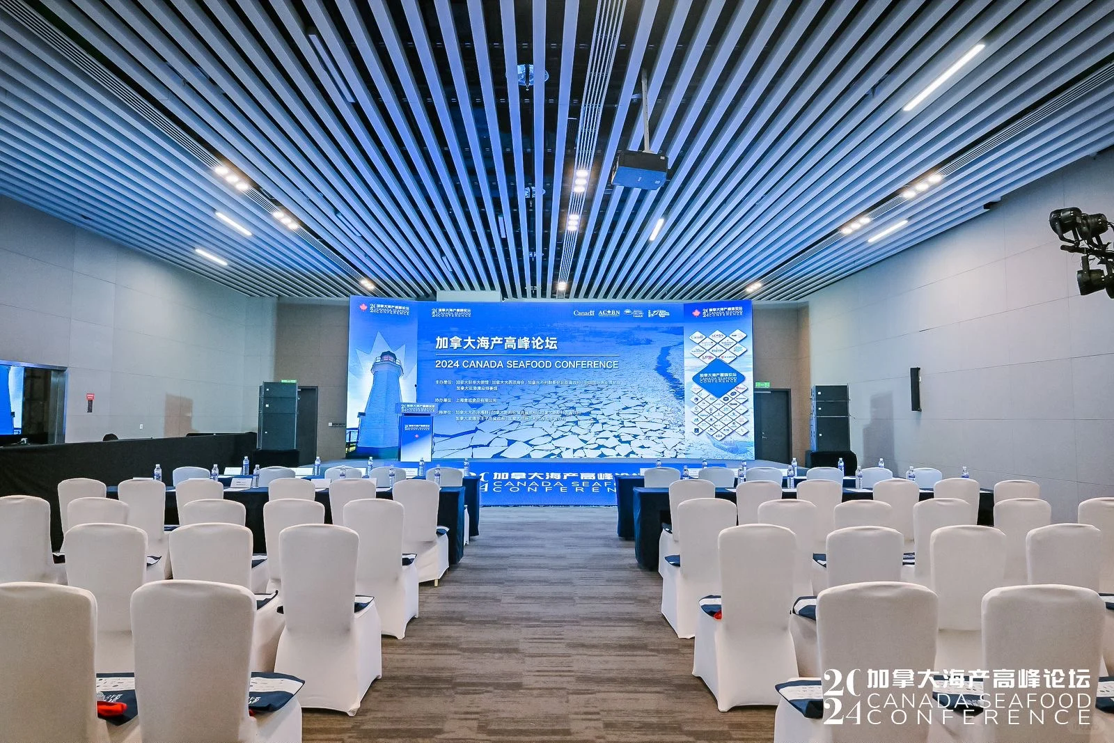 国际会议初体验～