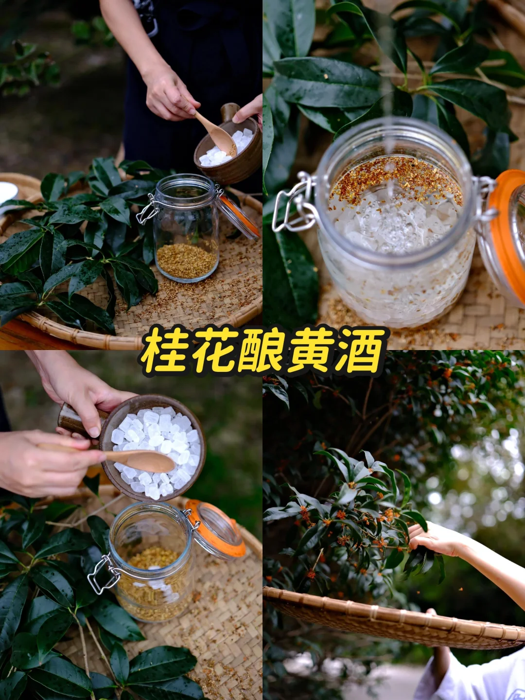 活动策划｜立冬趣味创意集锦