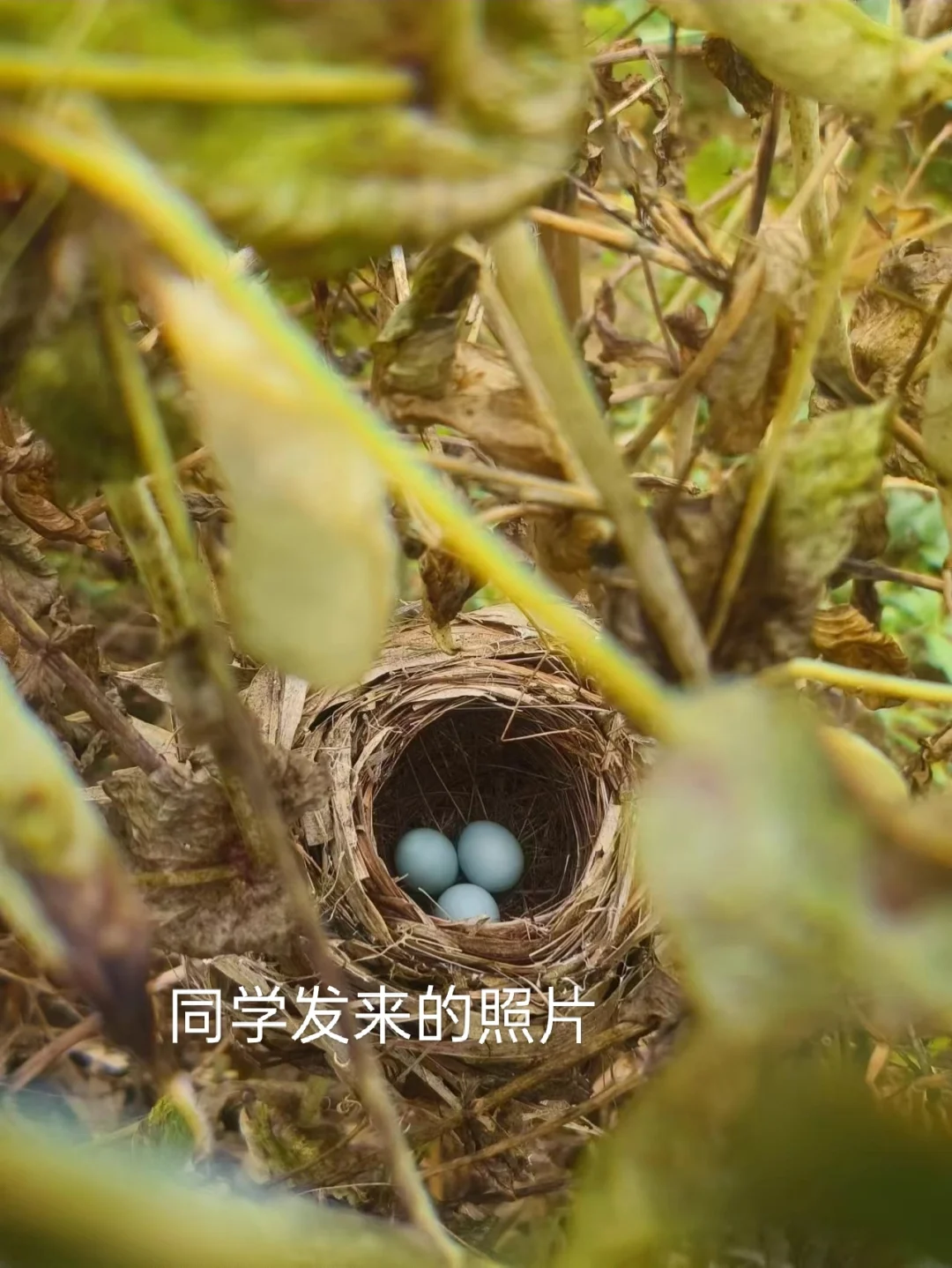 大二会展策划与管理