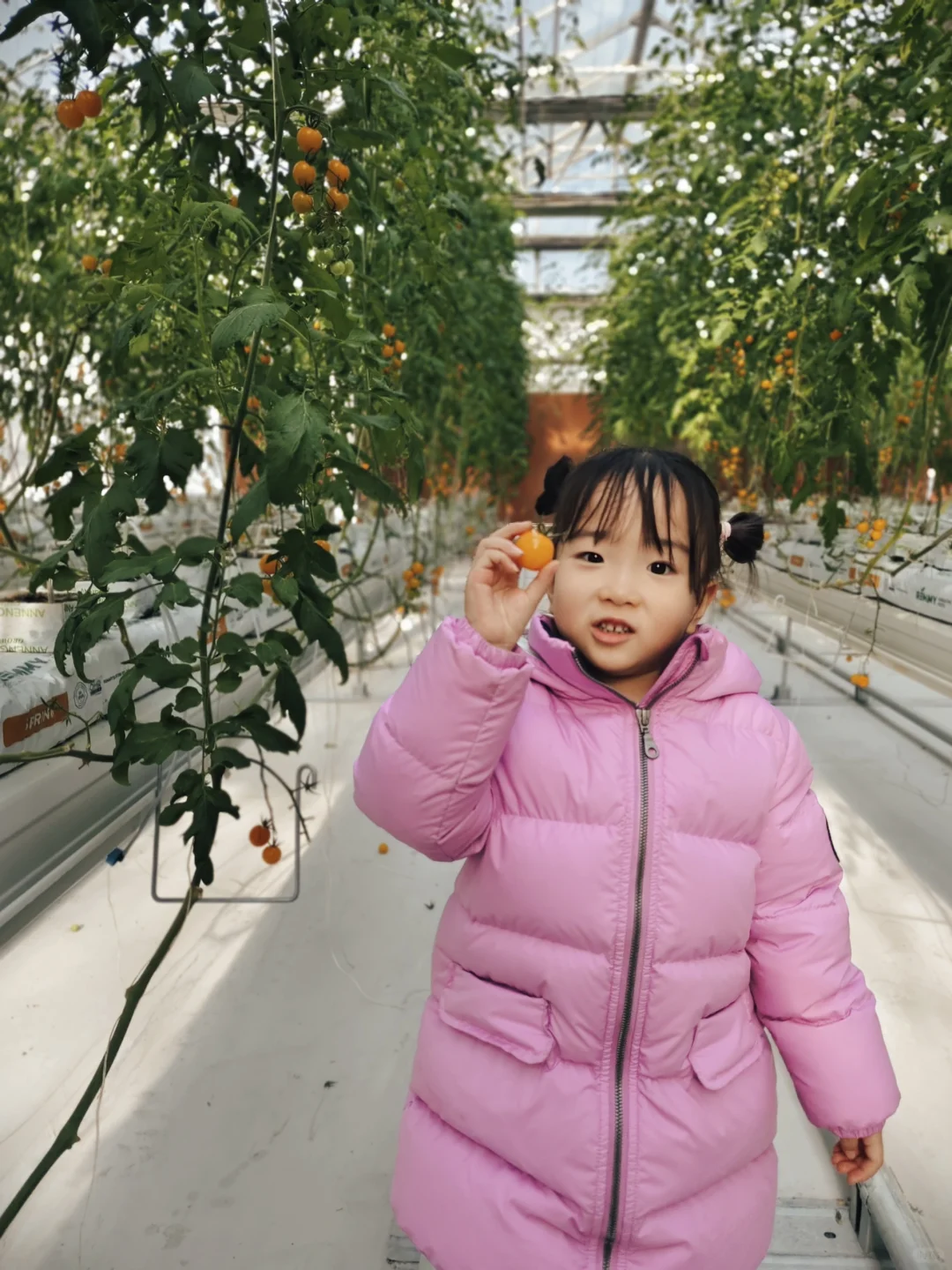 15块钱让娃玩嗨！！值得N刷的昌平遛娃宝地