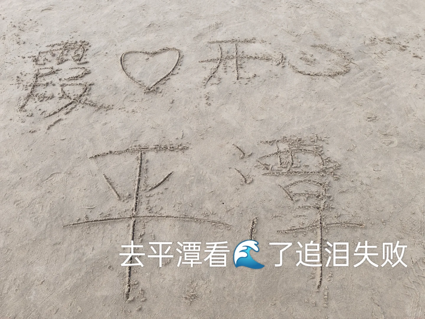 大二会展策划与管理