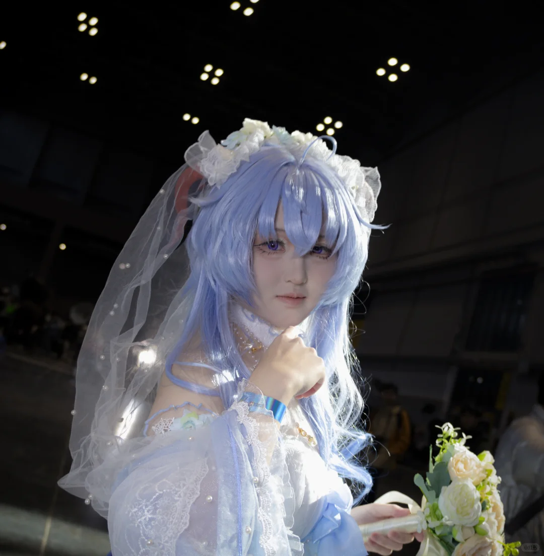 自由行申请需要50赞谢谢