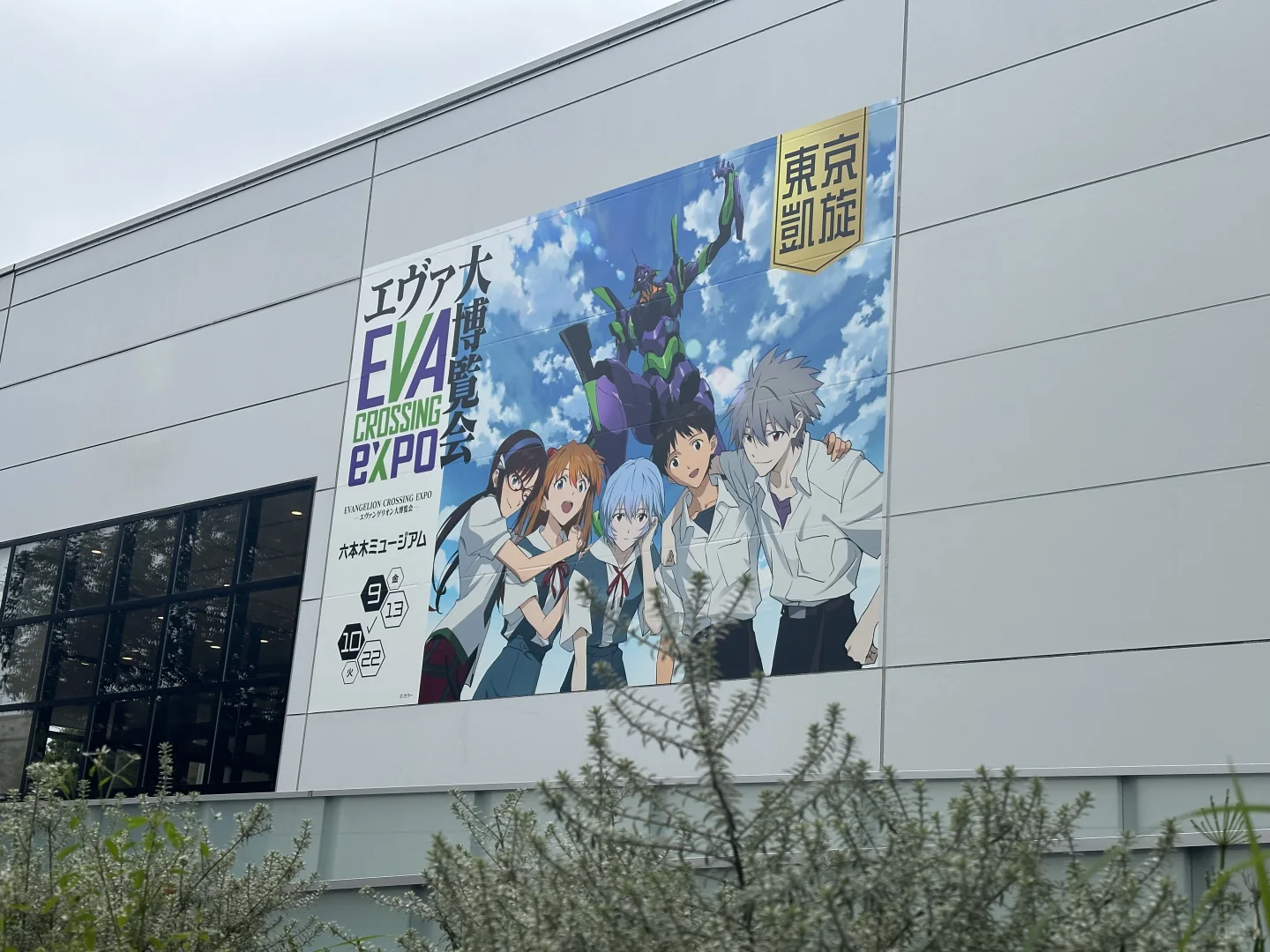 等我老了也要继续喜欢EVA……