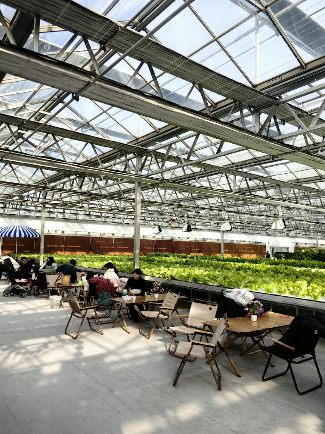 15块钱让娃玩嗨！！值得N刷的昌平遛娃宝地