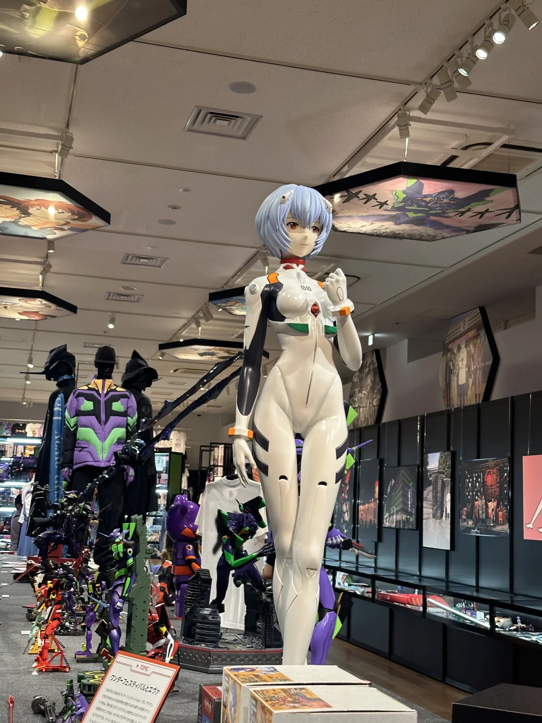 等我老了也要继续喜欢EVA……