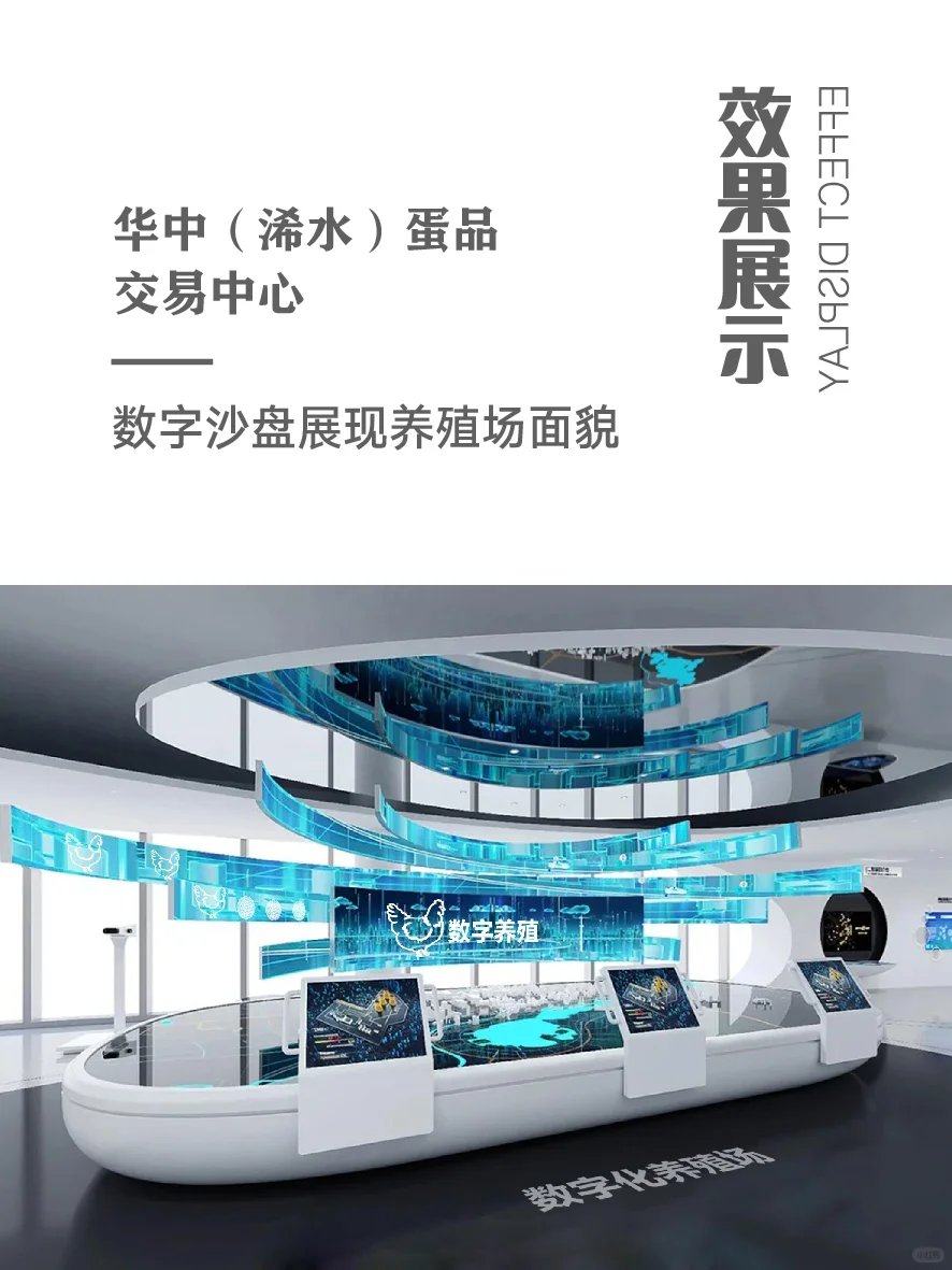 食品行业数字展厅案例|会展中心 交易中心