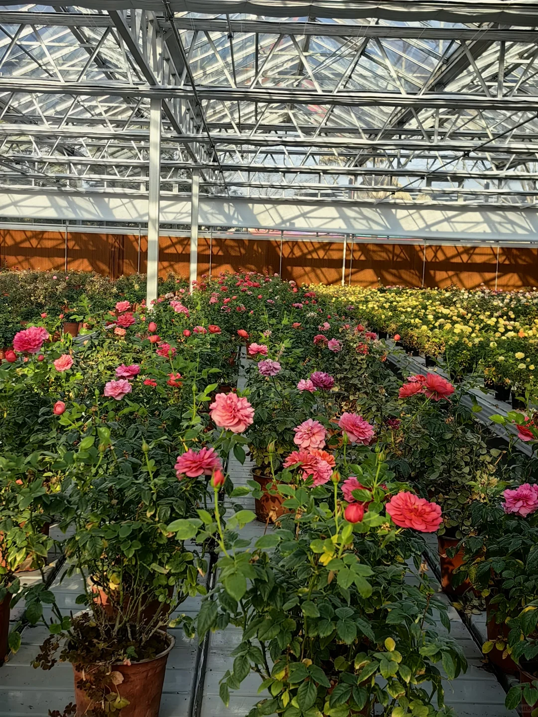 15块钱让娃玩嗨！！值得N刷的昌平遛娃宝地