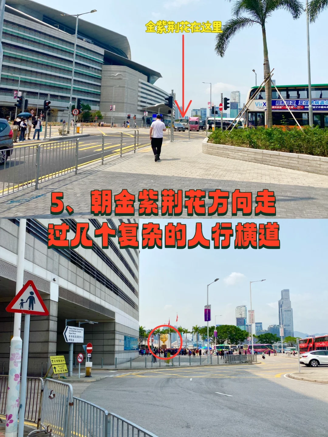 香港会展中心、金紫荆广场、回归纪念碑攻略