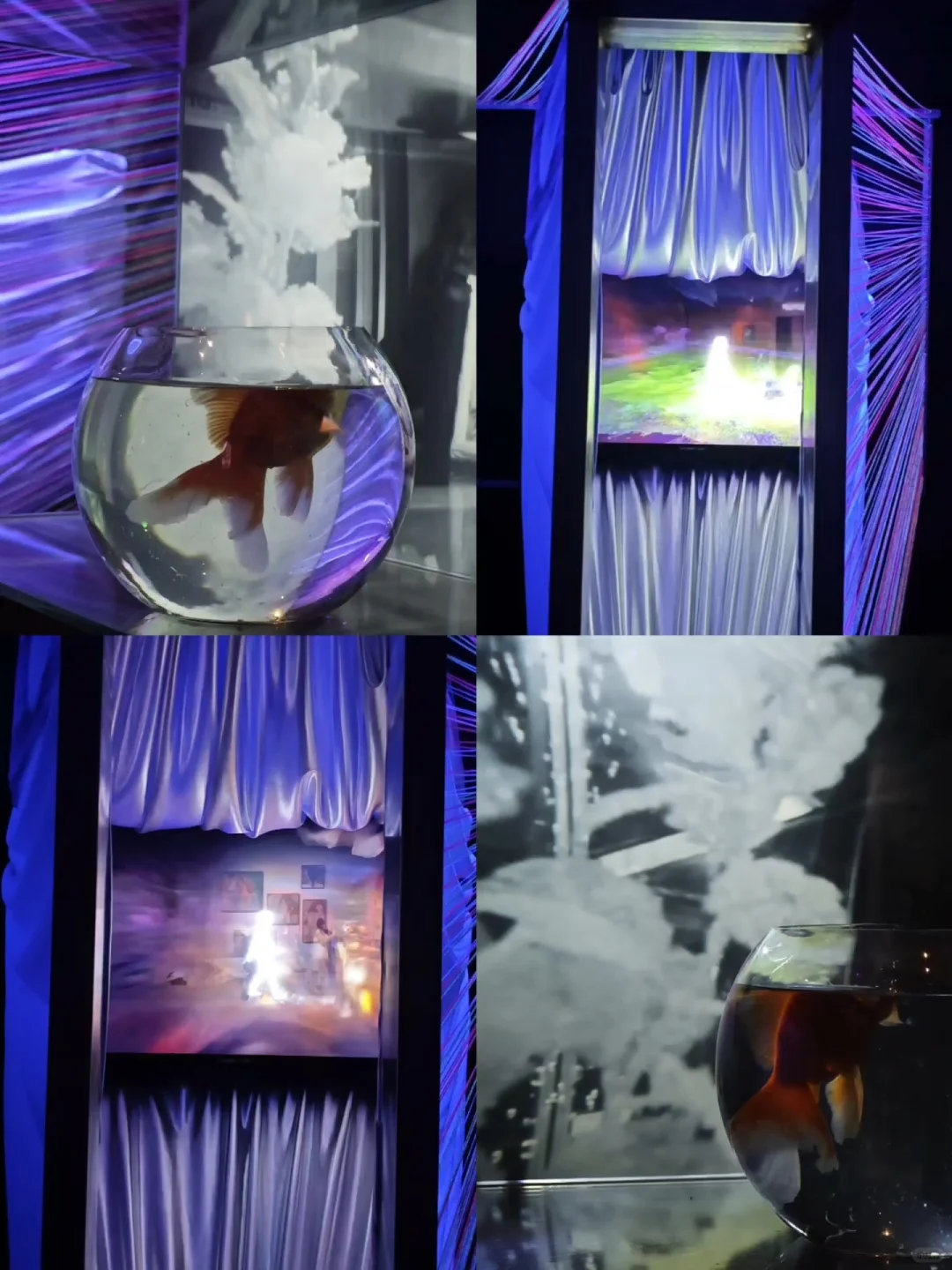 深圳新展·不可错过的视觉盛宴·酷炫震撼!