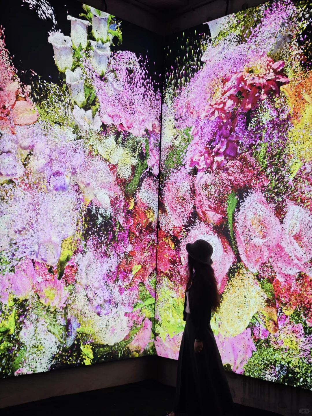 深圳新展·不可错过的视觉盛宴·酷炫震撼!