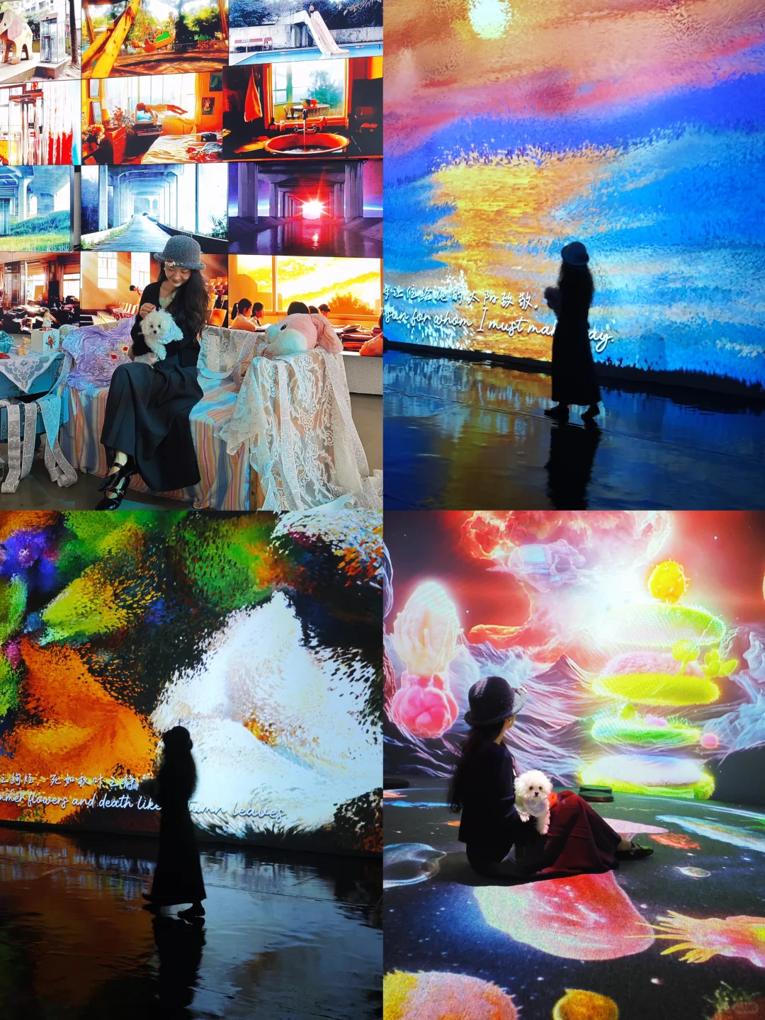 深圳新展·不可错过的视觉盛宴·酷炫震撼!