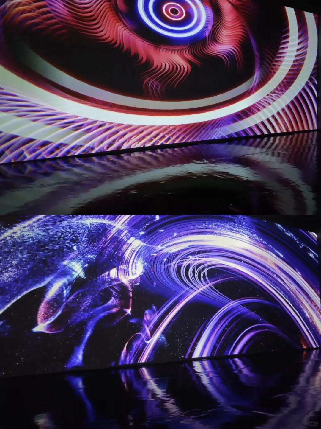 深圳新展·不可错过的视觉盛宴·酷炫震撼!