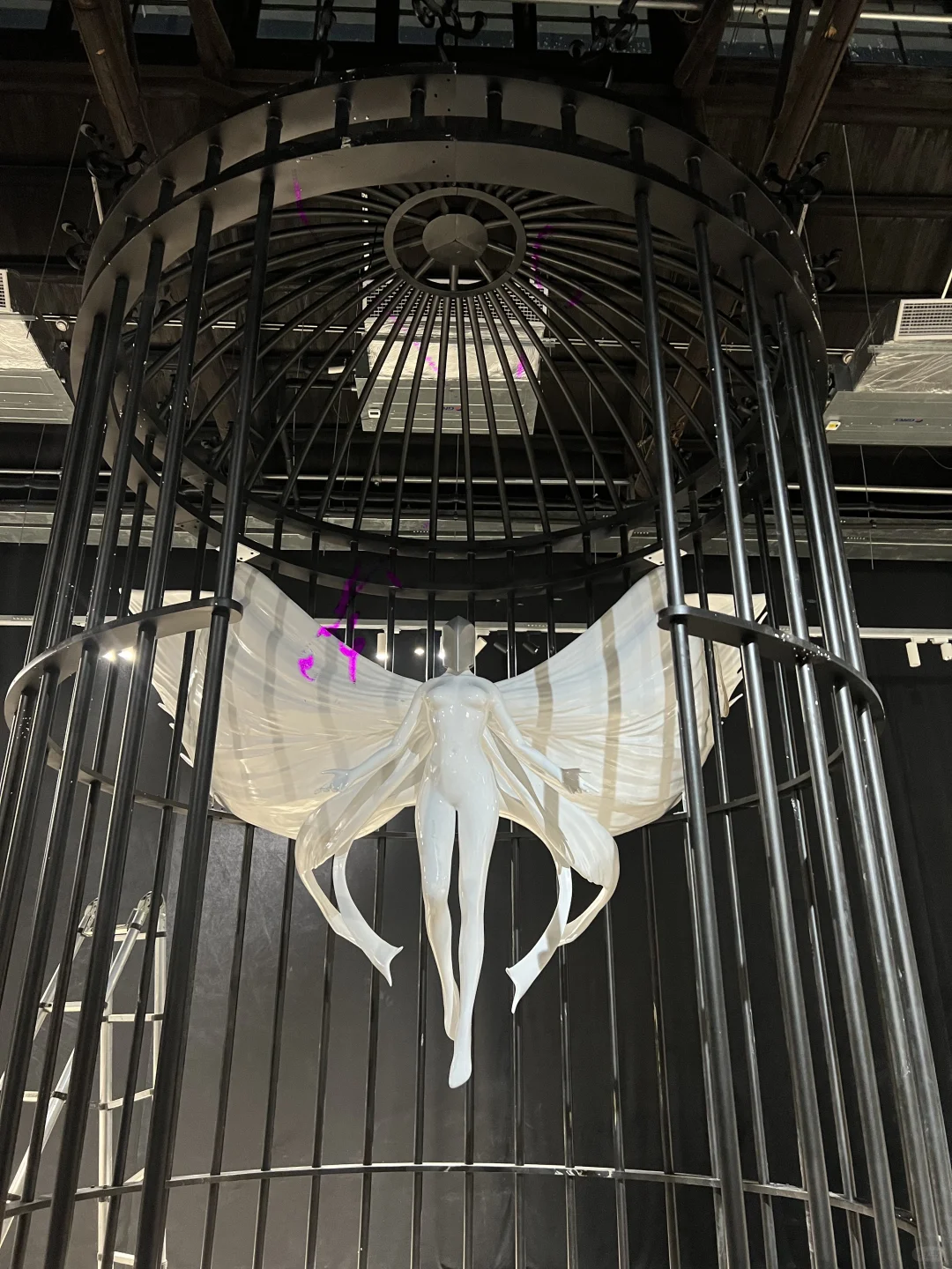 上海新展预告丨蝴蝶的另一种诠释