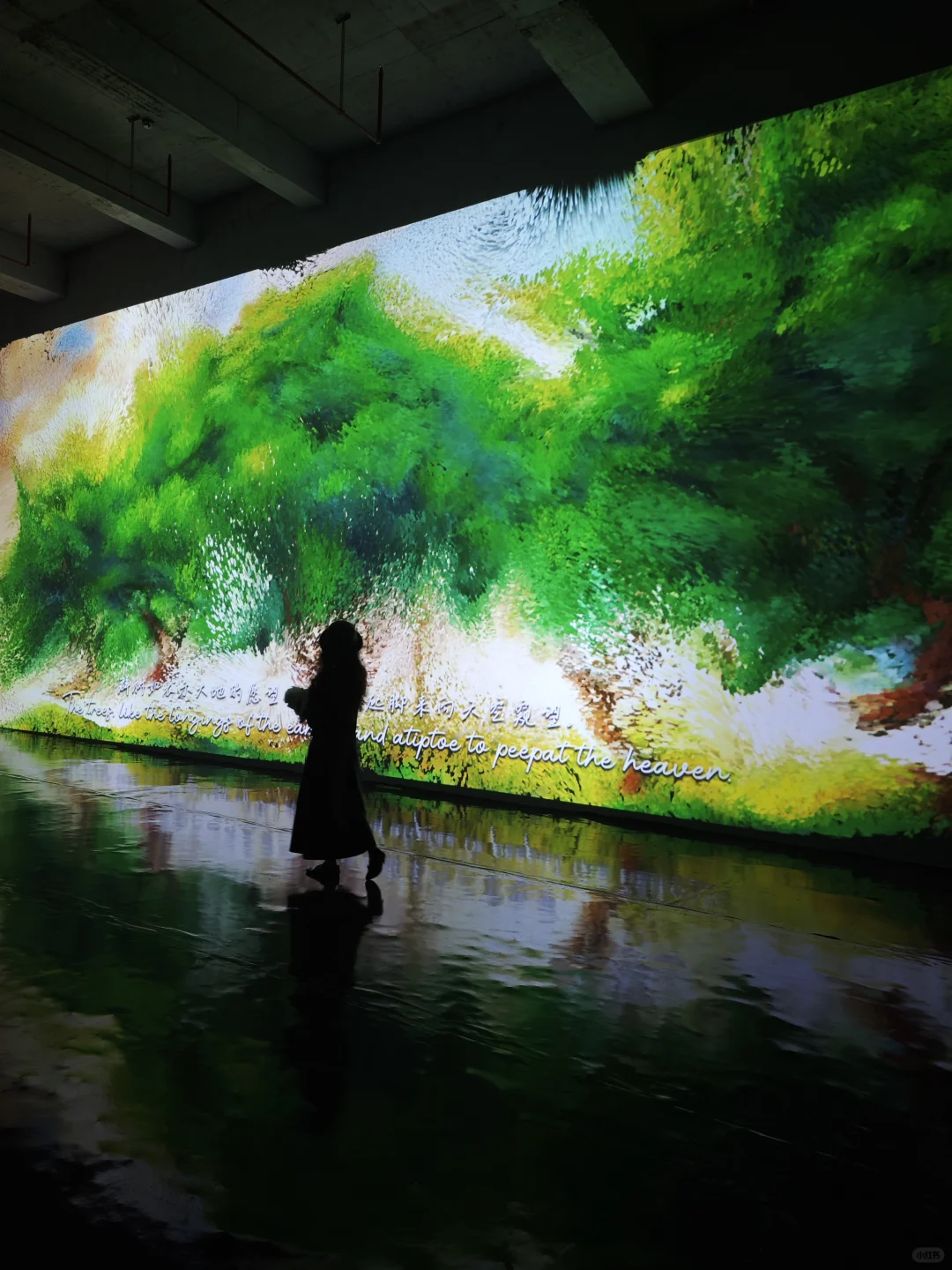 深圳新展·不可错过的视觉盛宴·酷炫震撼!